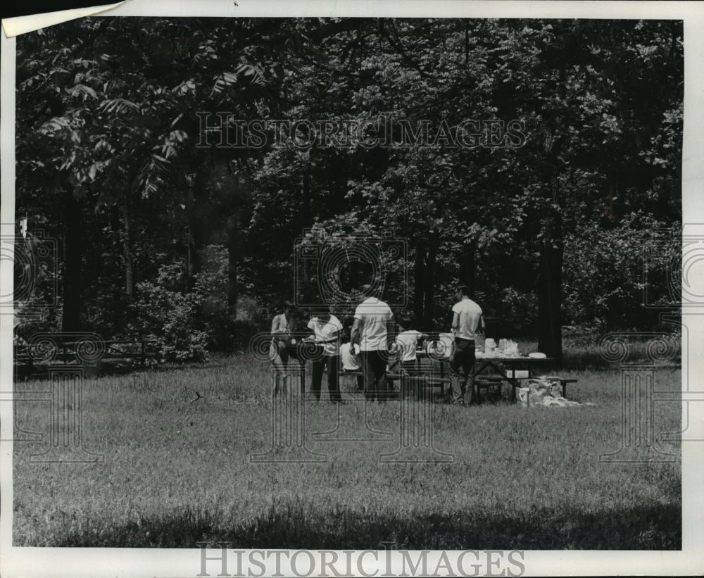 1975 Press Photo Visitors from Illinois enjoy picnic in Bong's vista area. - Historic Images