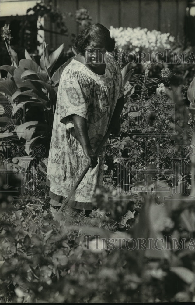 1979 Press Photo Ms. Carter, Mayor&#39;s Beautification Committee, tends her garden - Historic Images