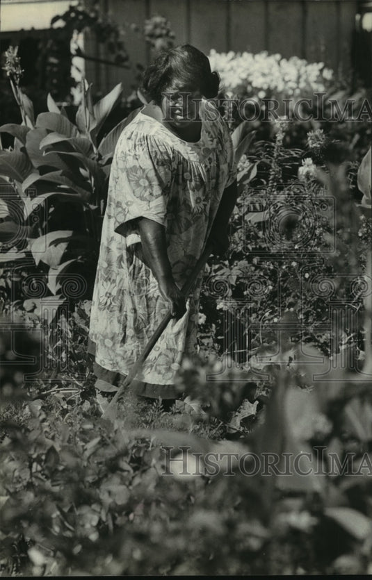 1979 Press Photo Ms. Carter, Mayor's Beautification Committee, tends her garden - Historic Images