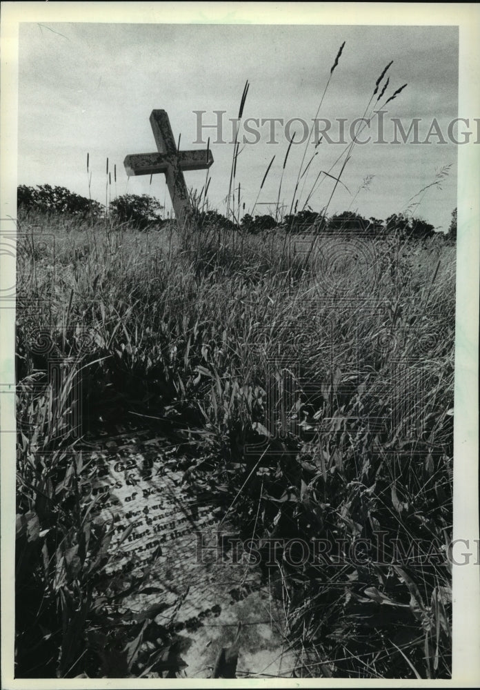 1982 Press Photo Elias Burr&#39;s Cemetery Grave Is Almost Fully Covered In Weeds - Historic Images