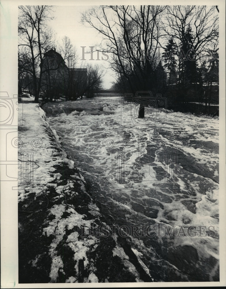 1986 Press Photo Cedar Creek In Cedarburg Contains Fish With High Levels of PCBs - Historic Images