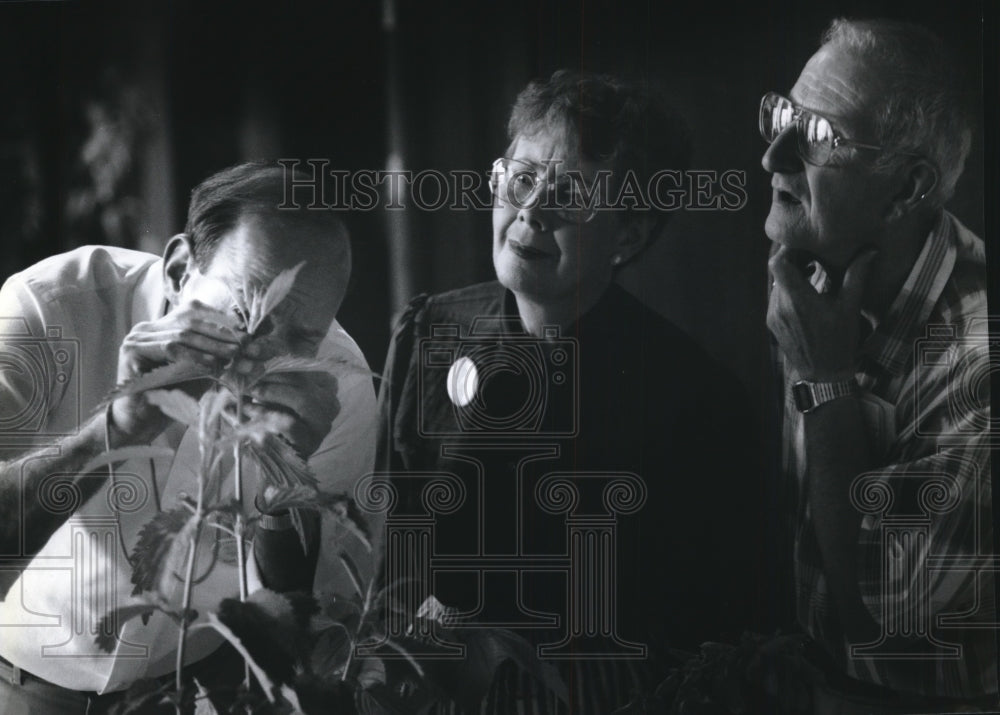 1994 Press Photo Botanical Club of Wisconsin members determine what they see - Historic Images