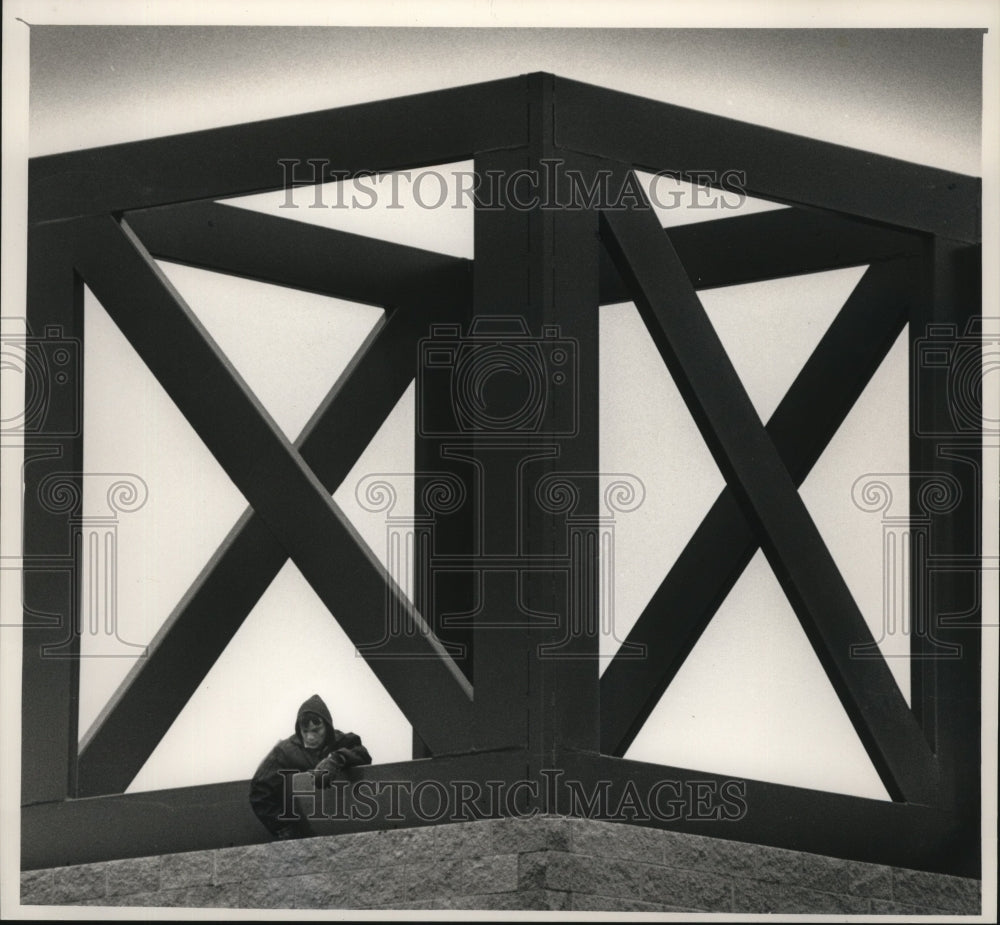 1988 Press Photo Workman Labors in a Geometric Shape at the Capitol Center - Historic Images