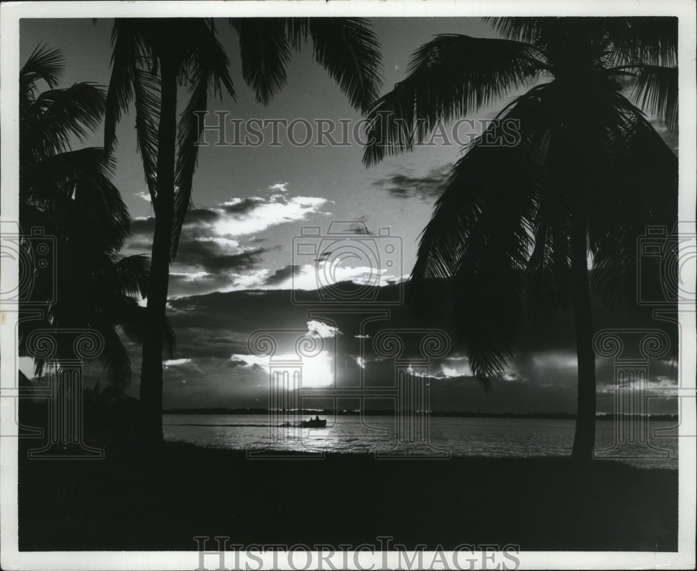 1969 Press Photo Sunset silhouettes palm trees fringing a beach in Florida Keys - Historic Images