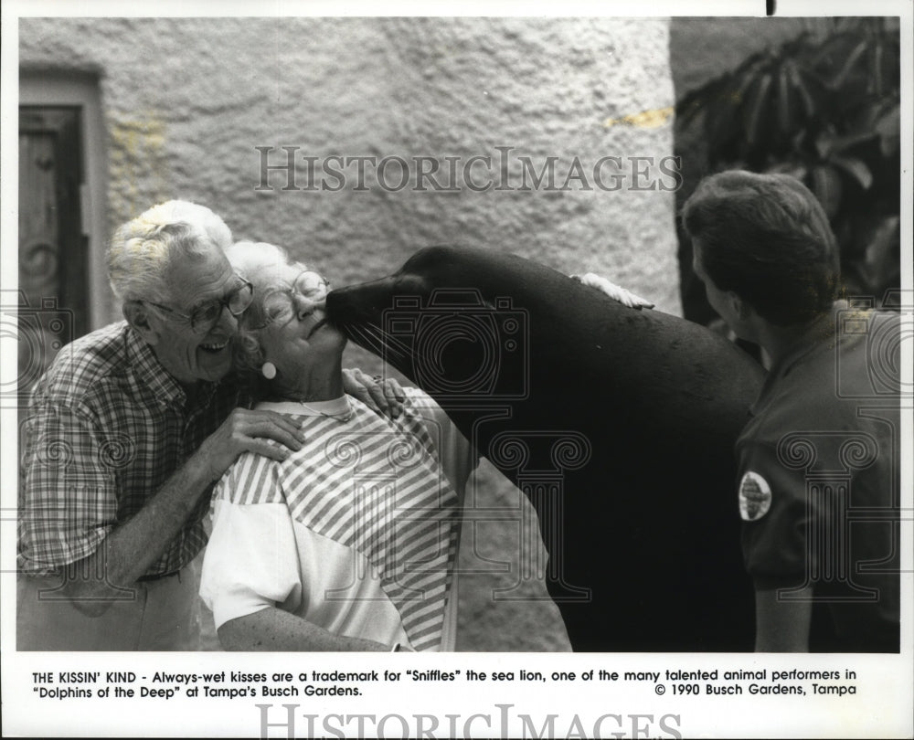 1990 Press Photo Sniffles the Sea Lion at Tampa's Busch Gardens - Historic Images