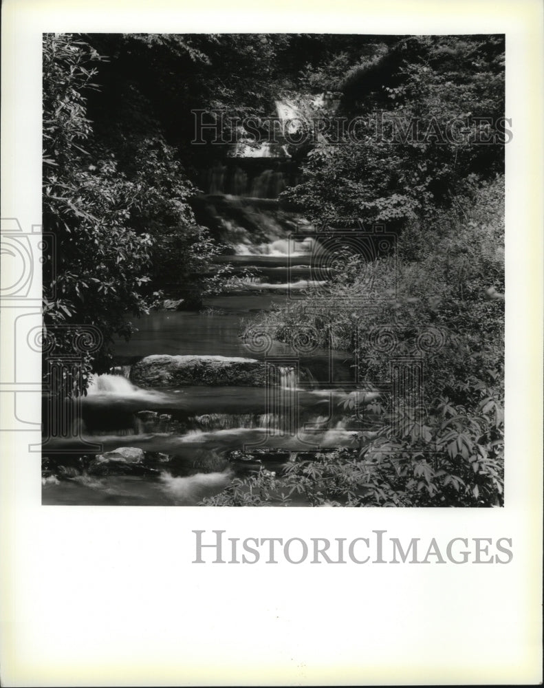 1986 Press Photo Natural Forest and Mountain Stream in Northeast Georgia - Historic Images