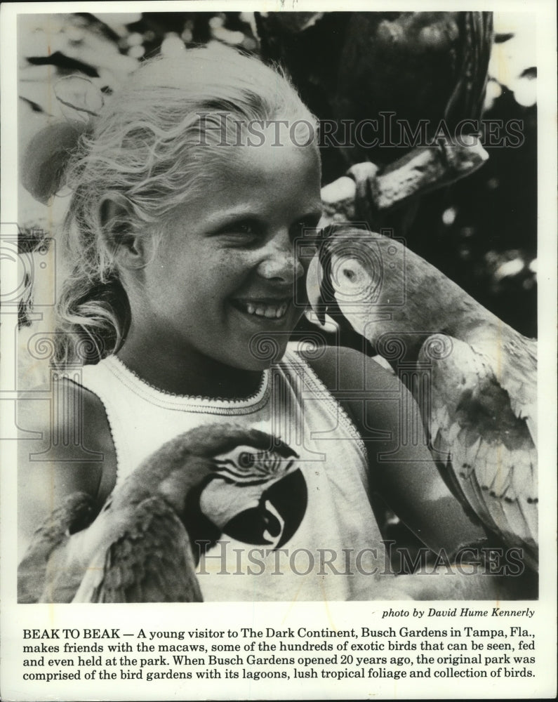 1980 Press Photo Young Girl Makes Friends with Birds at Busch Gardens in Tampa - Historic Images