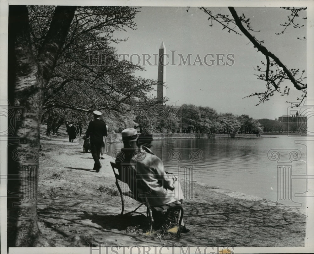 1937 Press Photo Tidal Basin Japanese Cherry Blossoms Annual Pageant of Spring - Historic Images