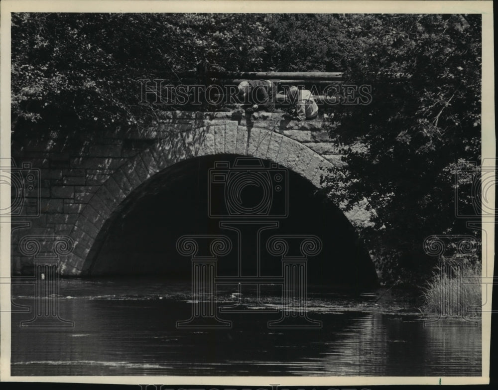 1983 Press Photo Bridge Over Brown Deer Park Lagoon and Young Fisherman - Historic Images