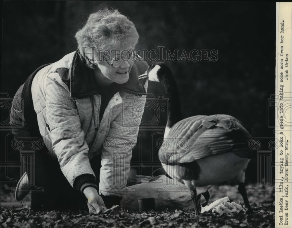 1985 Press Photo Toni Luebke at Brown Deer Park in Milwaukee - Historic Images