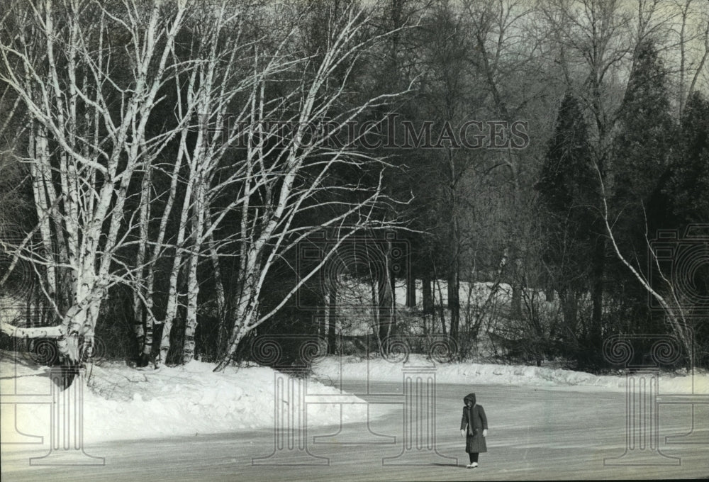 1984 Press Photo Woman Skates on Frozen Lagoon at Brown Deer Park - Historic Images