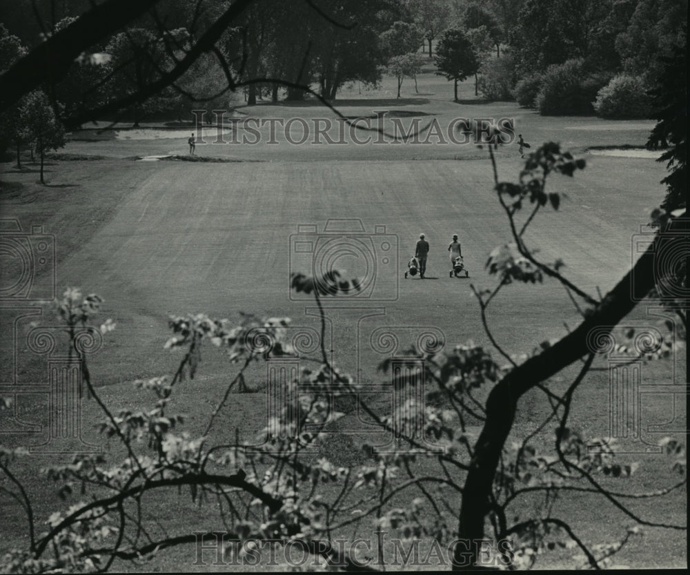 1984 Press Photo Golfers at the Brown Deer Park Course - Historic Images