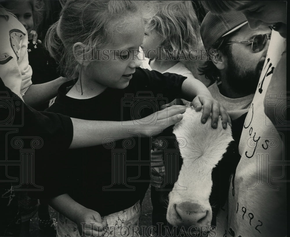 1992 Press Photo Katelyn Kruger pets a 2-week old calf on Dairy Day Celebration - Historic Images