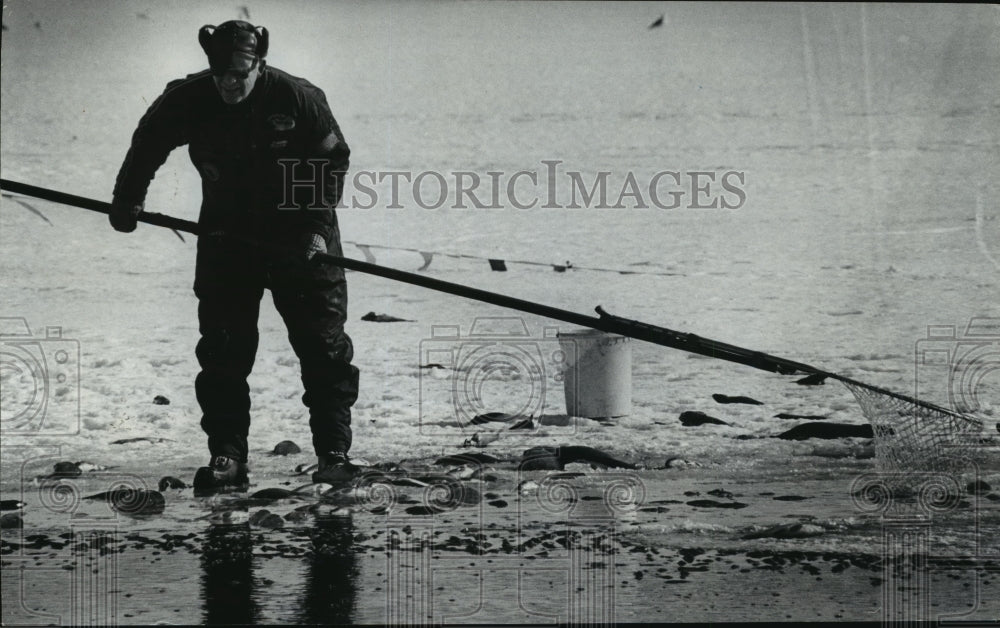 1979 Press Photo Wisconsin Natural Resources Estel Eller Netting Bullhead Fish-Historic Images