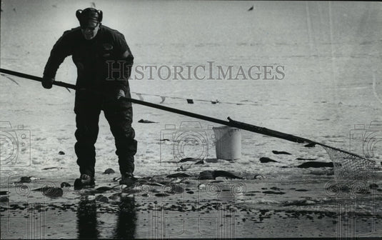 1979 Press Photo Wisconsin Natural Resources Estel Eller Netting Bullhead Fish-Historic Images
