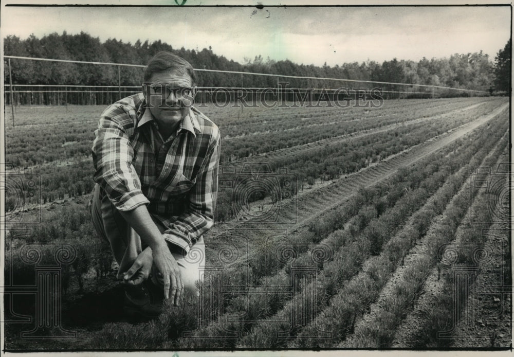 1988 Press Photo John Borkenhagen Superintendent for the Hayward Nursery-Historic Images