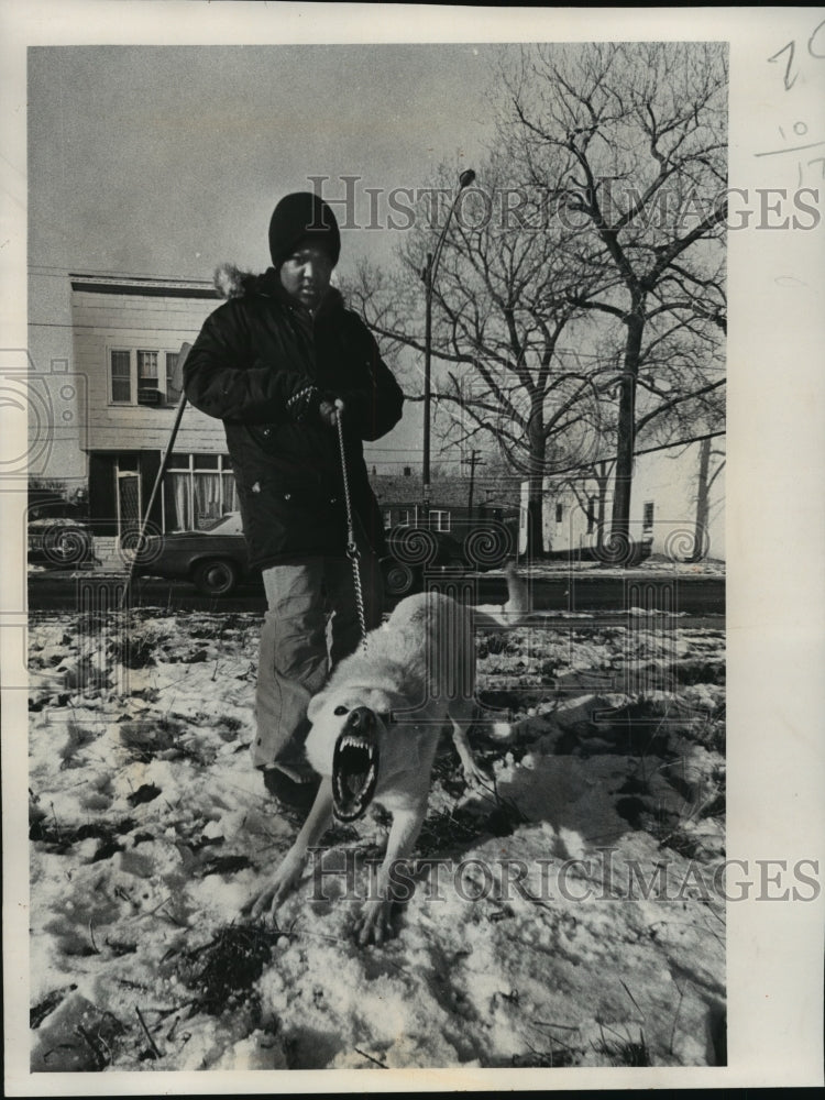 1978 Press Photo An Unfriendly Dog in Englewood in Chicago, Illinois - mja55488-Historic Images
