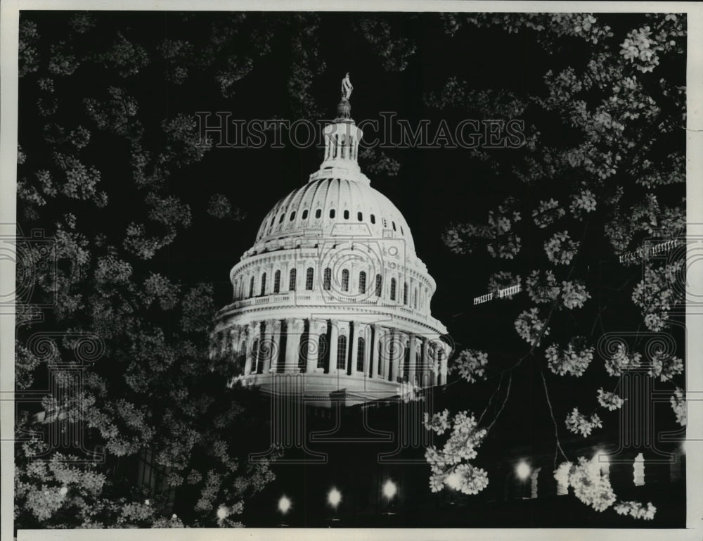 1938 Press Photo The Capitol Dome Framed with Japanese Cherry Blossoms-Historic Images