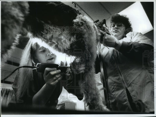 1990 Press Photo Wisconsin School of Professional Dog Grooming - mja55924-Historic Images