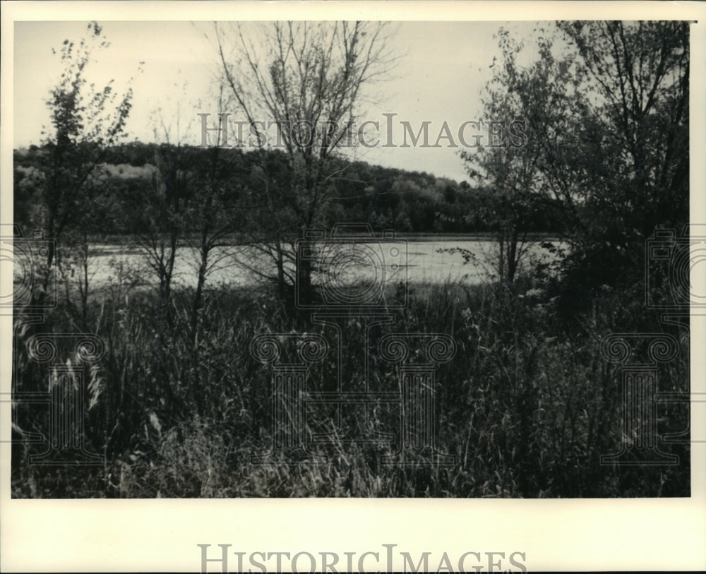 1988 Press Photo Ground Cover Planted at Goose Lake, Wisconsin - mja55995-Historic Images