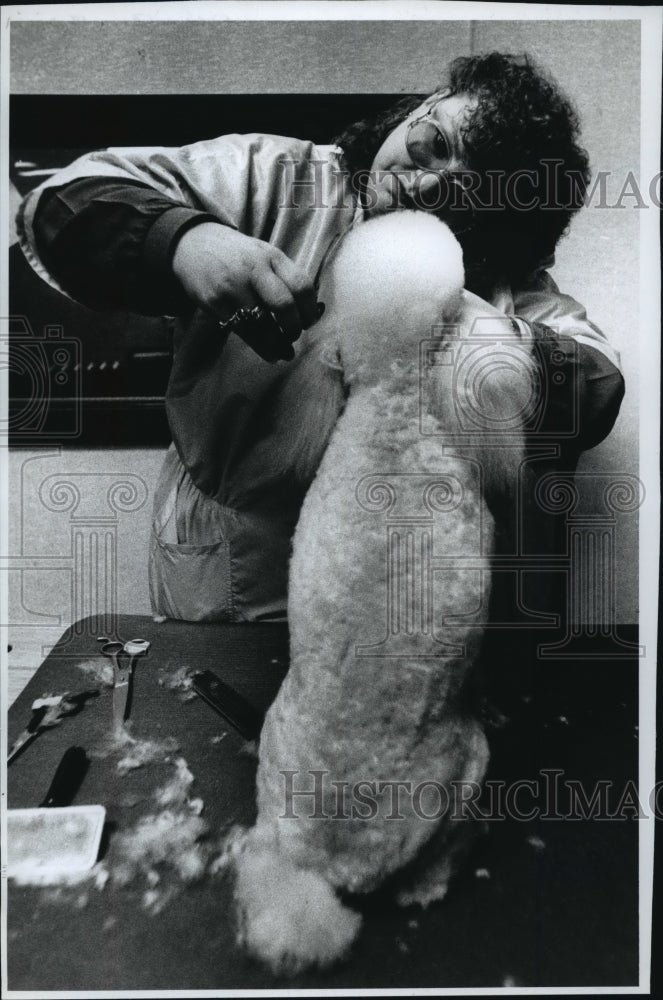 1990 Press Photo Julie Konwent Concentrates on Trimming Sparky, Poodle Wisconsin-Historic Images