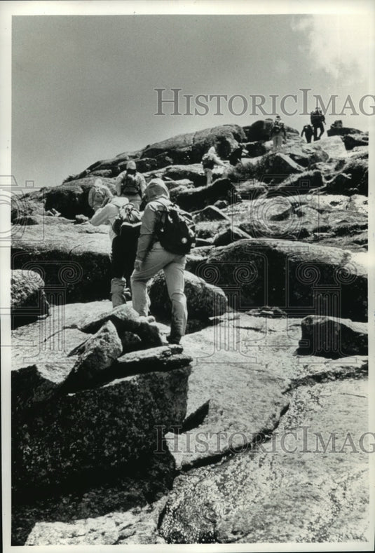 1990 Press Photo Adirondacks Mountains in New York - mja56954-Historic Images