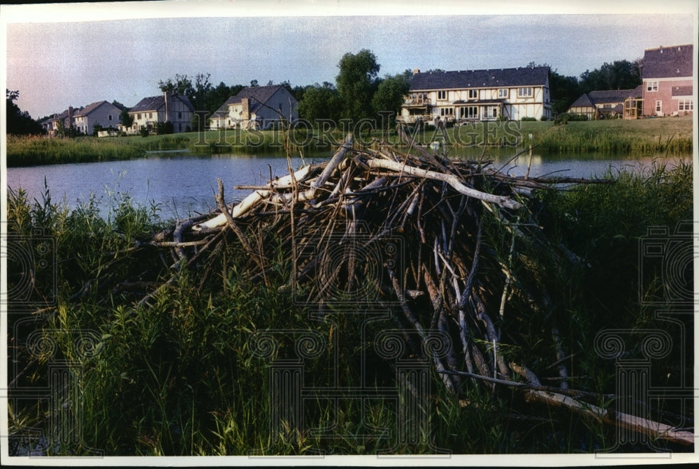 1993 Press Photo Beaver Dam Near Chateau Royale Subdivision, Brookfield-Historic Images