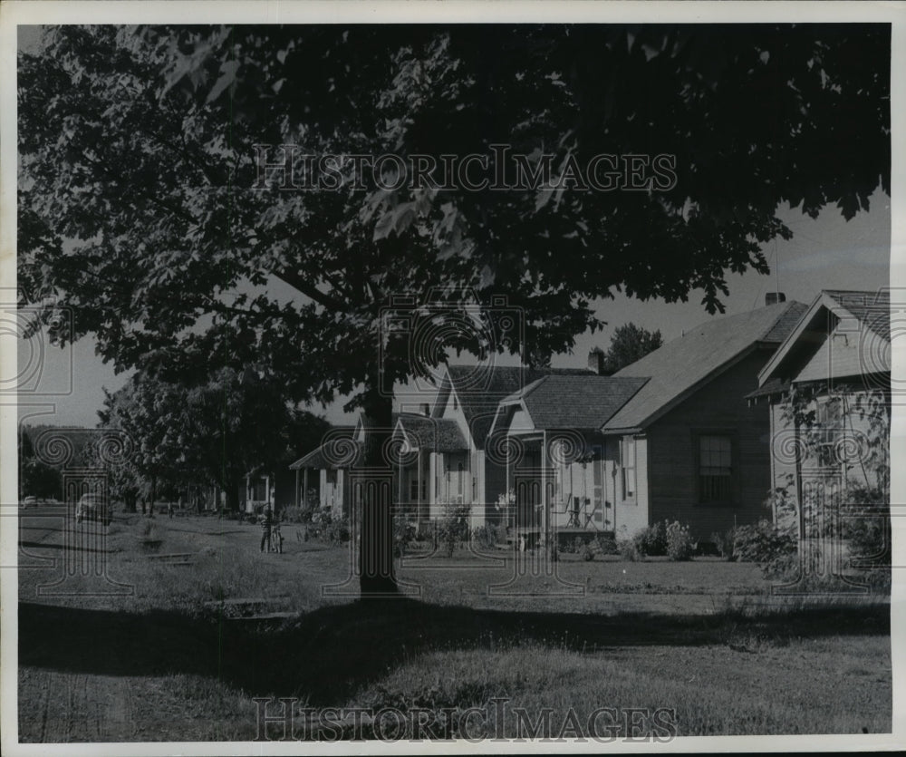 1956 Press Photo Street Scene in Ryderwood, Washington - mja60724-Historic Images