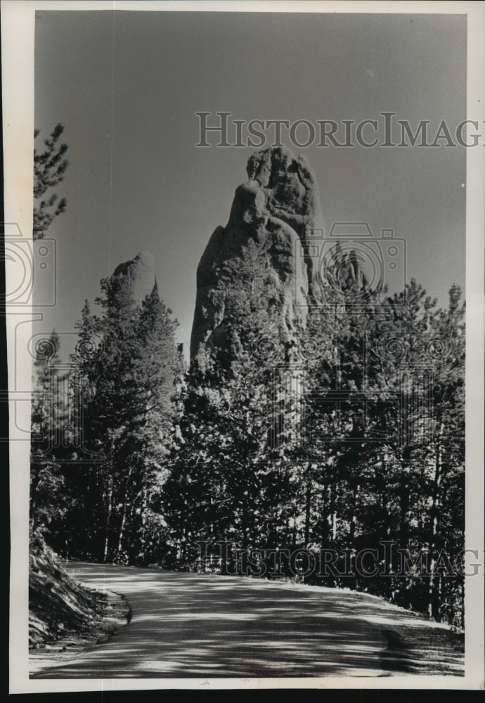 1991 Press Photo Spires of Rock Dot Needles Highway Through Custer Park-Historic Images