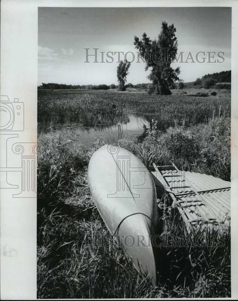 1979 Press Photo Wetlands Scene in Wisconsin - mja61405-Historic Images
