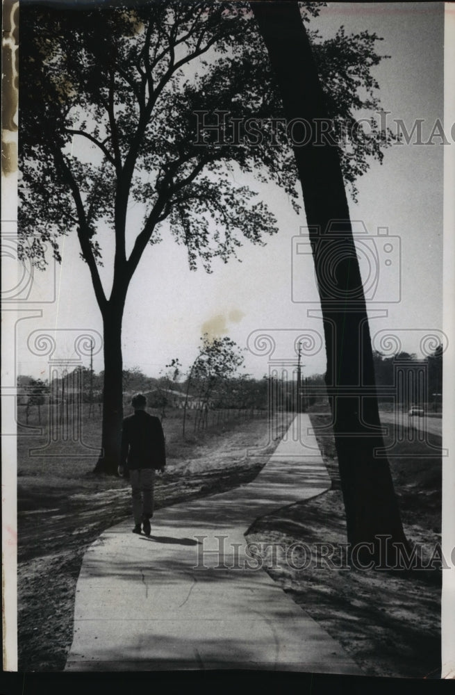 1965 Press Photo Sidewalk curved around tree in Brown Deer Wisconsin - mja61664-Historic Images