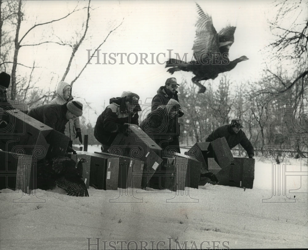 1989 Press Photo DNR personnel released turkeys Tuesday near Holy Hill-Historic Images