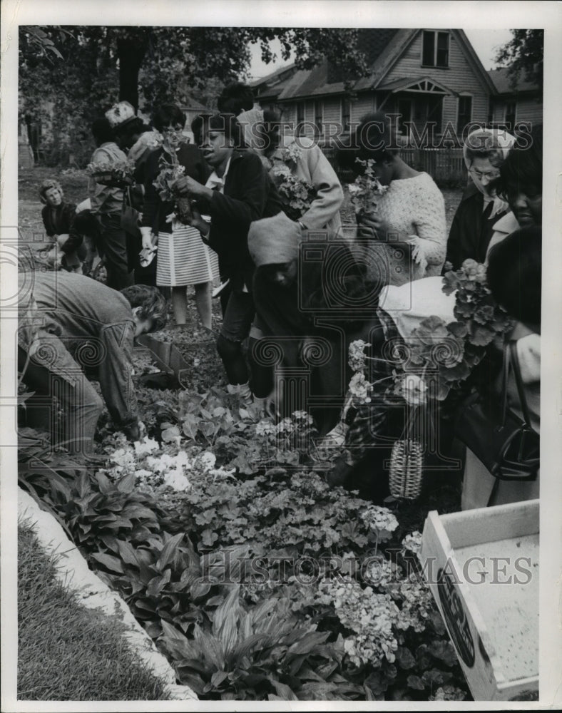 1969 Press Photo Neighborhood Residents Selecting Plants For "Plant In"-Historic Images