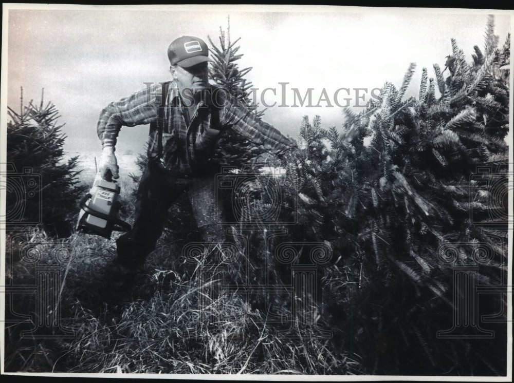 1993 Press Photo Rodney Castellion Cuts a Tree for Campbell Tree and Land-Historic Images
