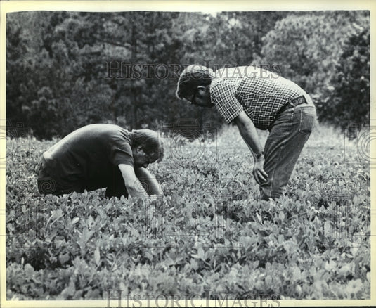 1979 Press Photo President Jimmy Carter With His Brother in Plains, Georgia-Historic Images