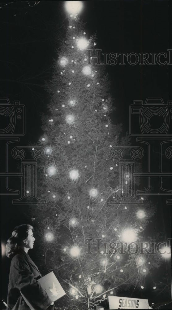 1987 Press Photo Warren Fletcher Looking at 45 Foot Tall Christmas Tree-Historic Images