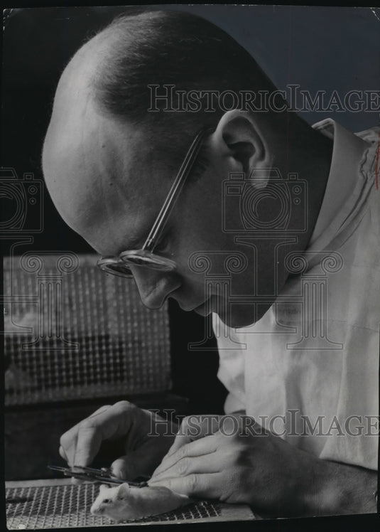 1954 R.K. Boutwell, McArdle Memorial Lab, University of Wisconsin-Historic Images