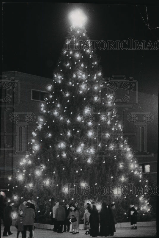 Press Photo Official Ceremony, lighting the municipal Christmas Tree-Historic Images
