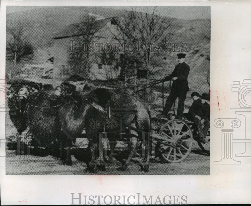 1968 Press Photo Camel drawn wagons were not unusual on Baraboo streets - Historic Images