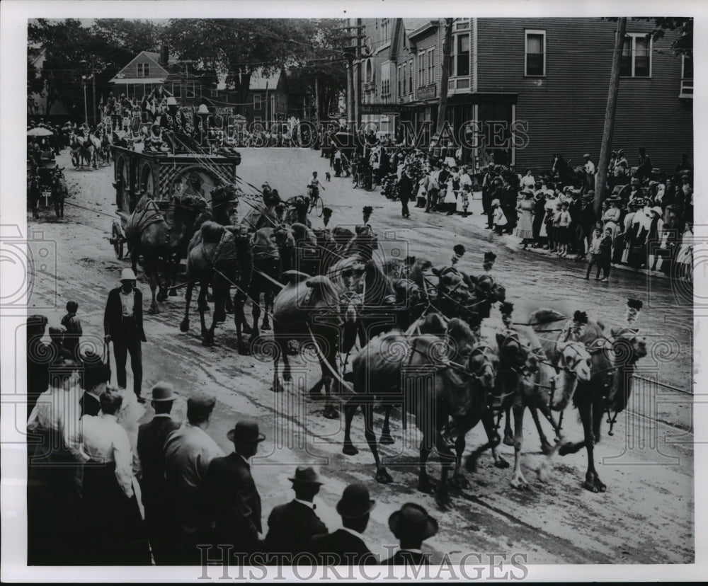 1964 Press Photo A 16 camel hitch is the highlight of this circus parade - Historic Images