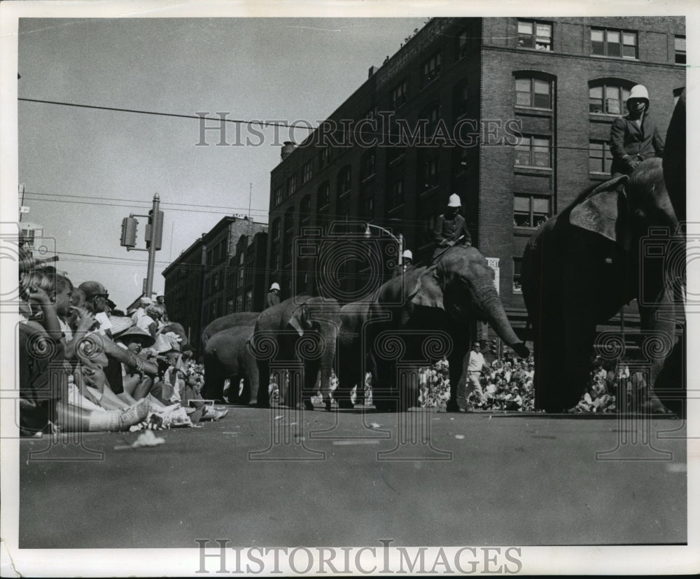 1963 Press Photo Elephants in Milwaukee Circus Parade - Historic Images