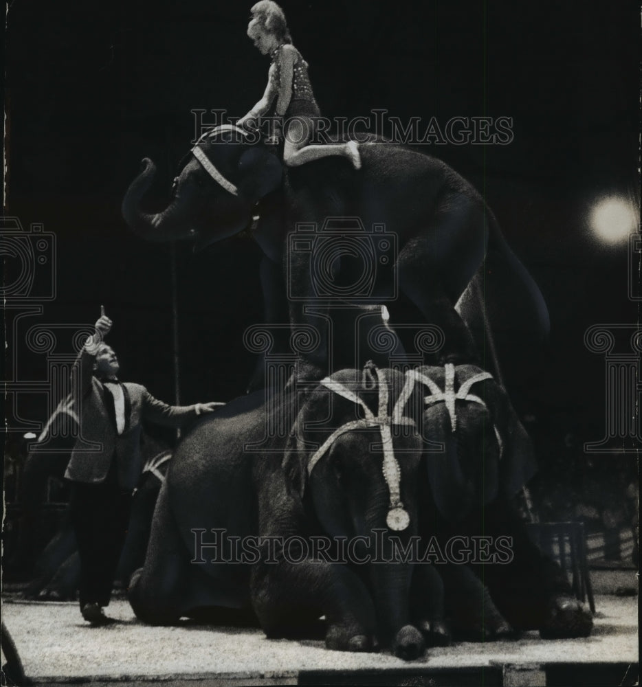 1962 Press Photo Elephants were making a pyramid during circus show.-Historic Images