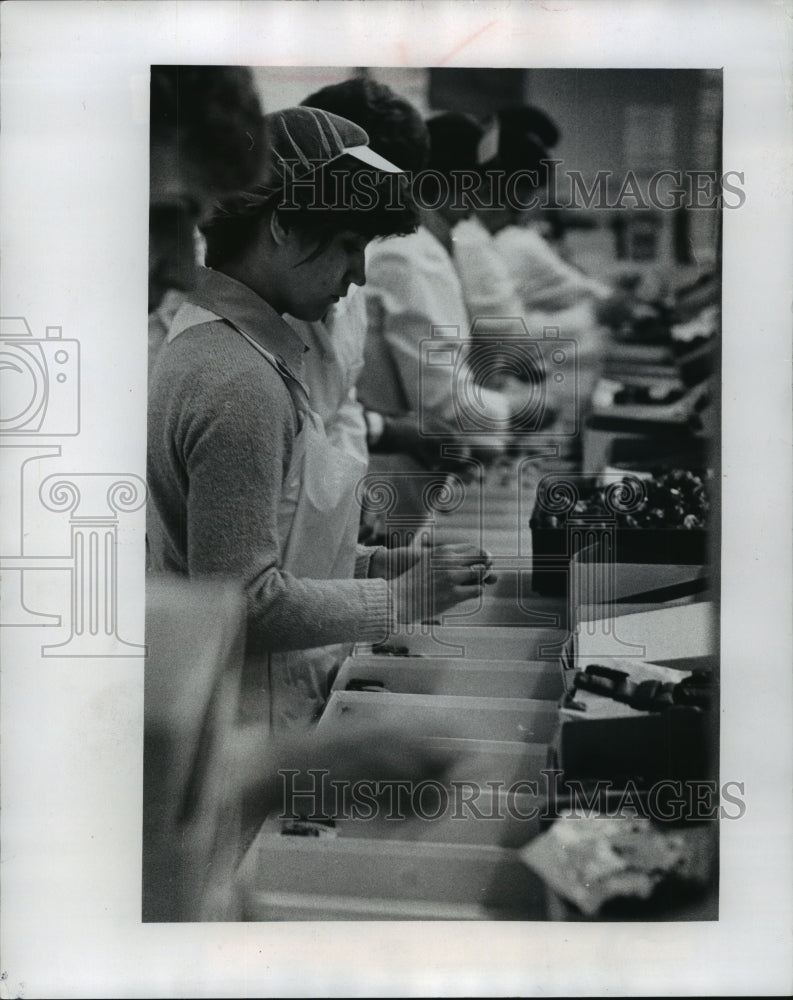 1978 Press Photo Renee Rutter Packing Chocolate Boxes for The Chocolate House - Historic Images