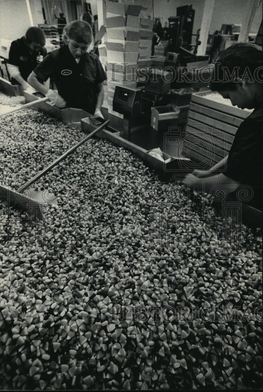 1986 Press Photo Candy Corn made by the Goelitz Confectionary Co. - mja70382 - Historic Images