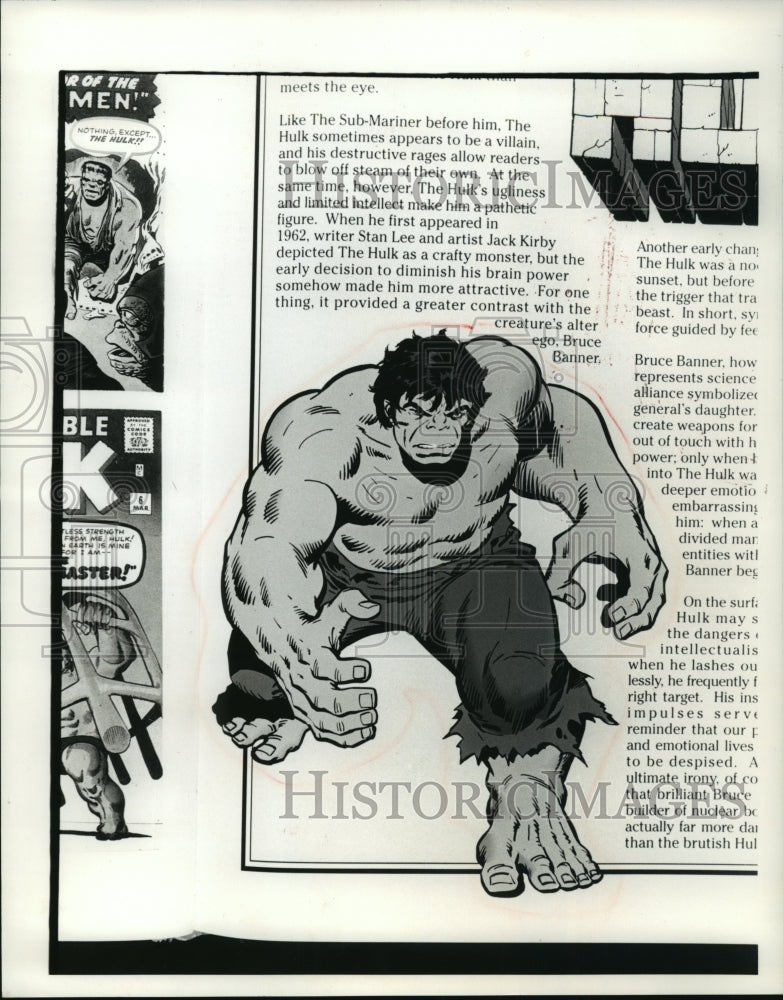 1991 Press Photo Cartoon: American comic book character, The Hulk - mja71735-Historic Images
