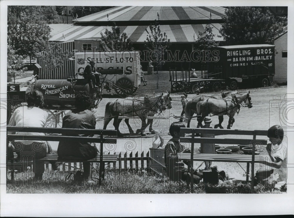 1975 Press Photo Horses Pull a Cart at Circus World Museum, Baraboo - mja71944-Historic Images