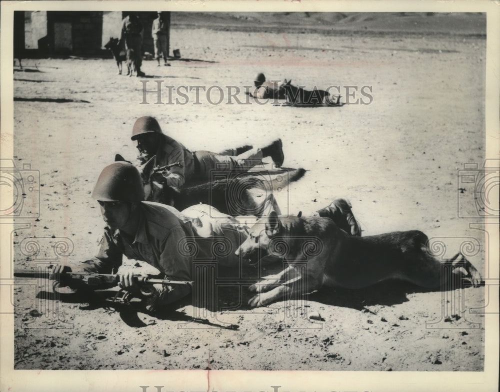 1964 Press Photo A United Arab Republic soldier teaching his dog to crawl. - Historic Images