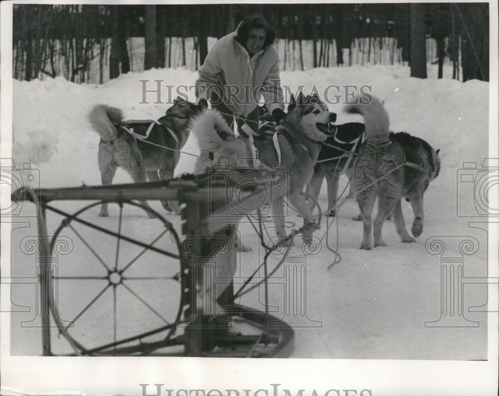 1969 Press Photo Doris Lovrine Lines Up Her Dogs in Front of the Dog Sled- Historic Images