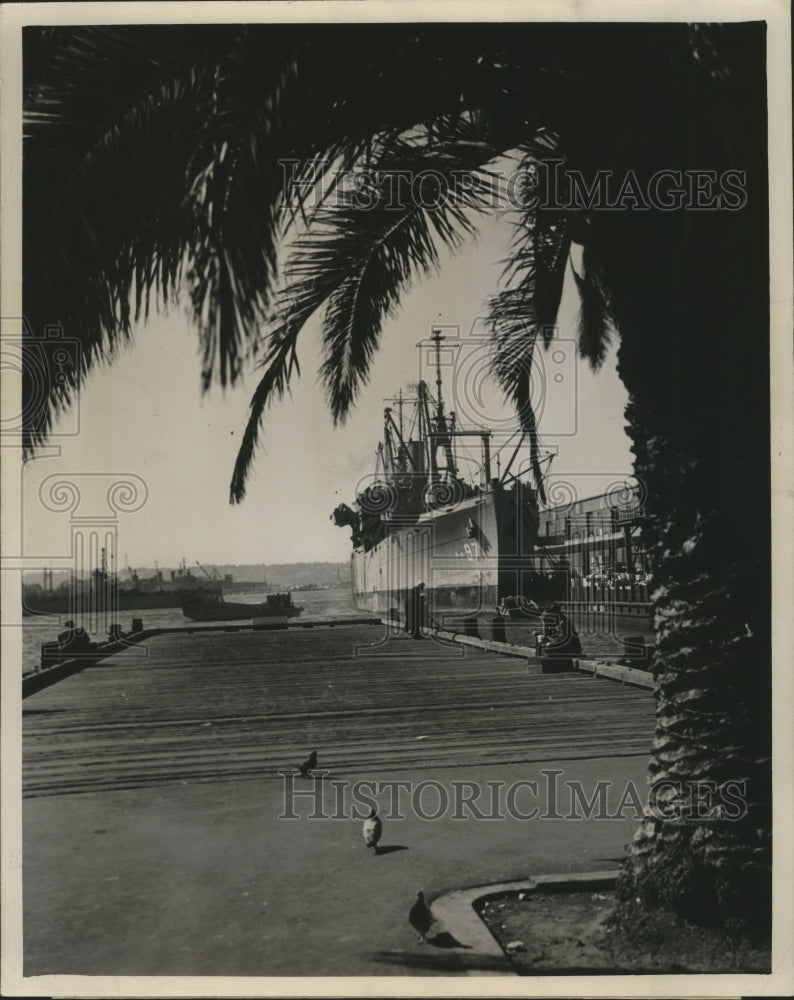 1952 Press Photo A Dock for Freighters and Navy Boats, San Diego California - Historic Images