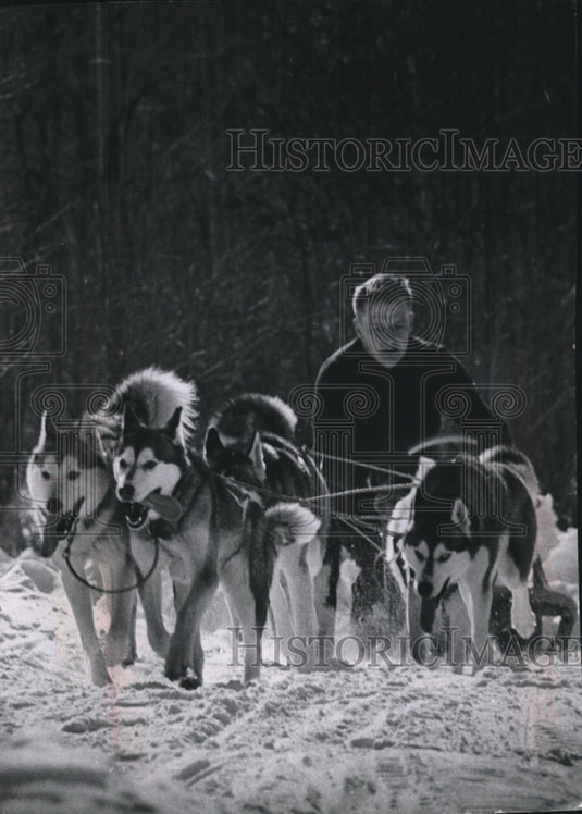 1969 Press Photo John Cooper mushes his team as fast as they'll go - Historic Images